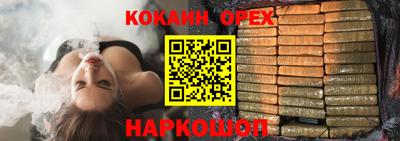 a pvp Камышлов