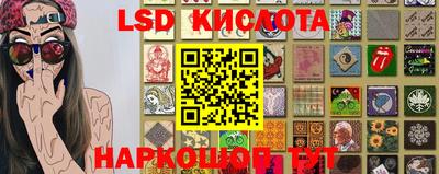 a pvp Камышлов