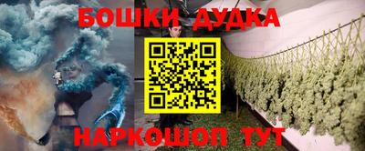 a pvp Камышлов