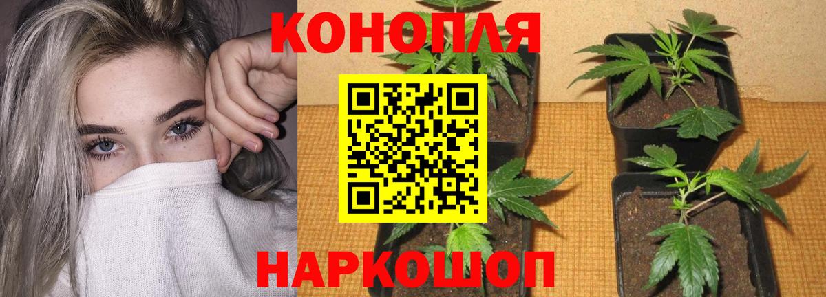 Канабис THC 21% Кубинка